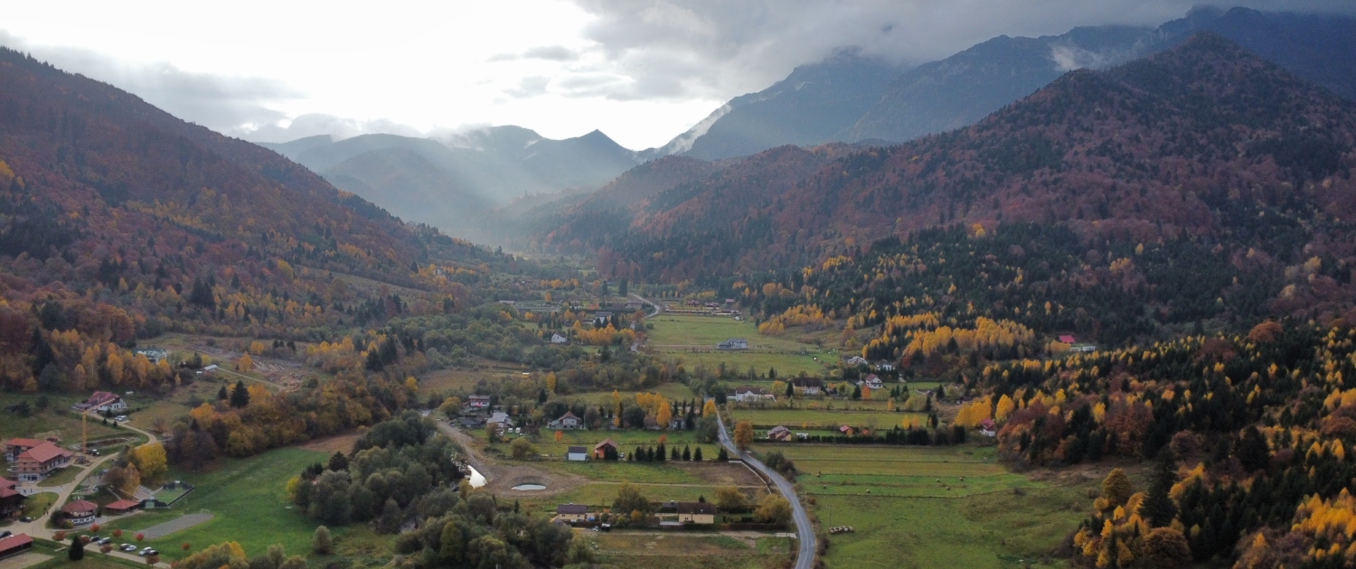 dji_fly_20221026_092812_420_1666766784920_photo_optimized